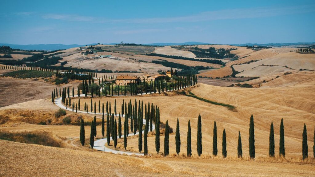 cata de vinos en toscana desde florencia