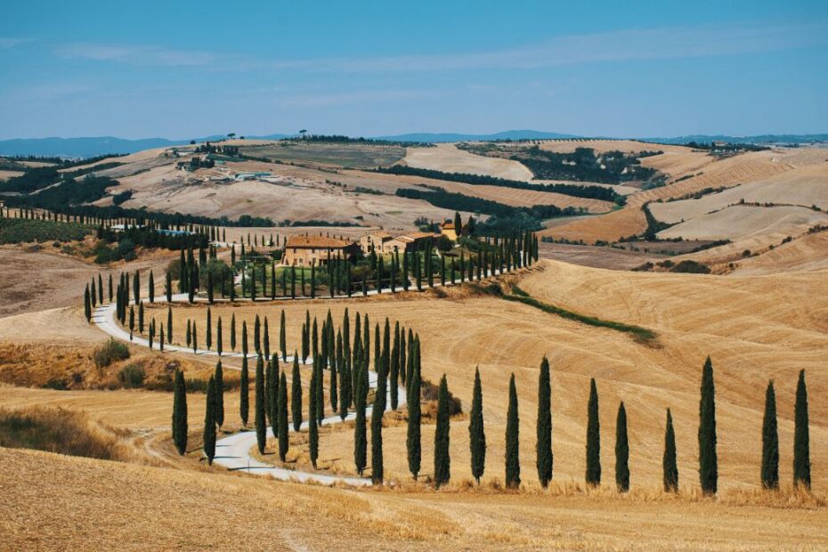 cata de vinos en toscana desde florencia